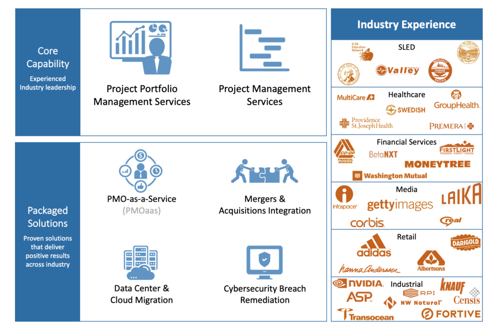 Metagyre Inc core capabilities in project and portfolio management across industries